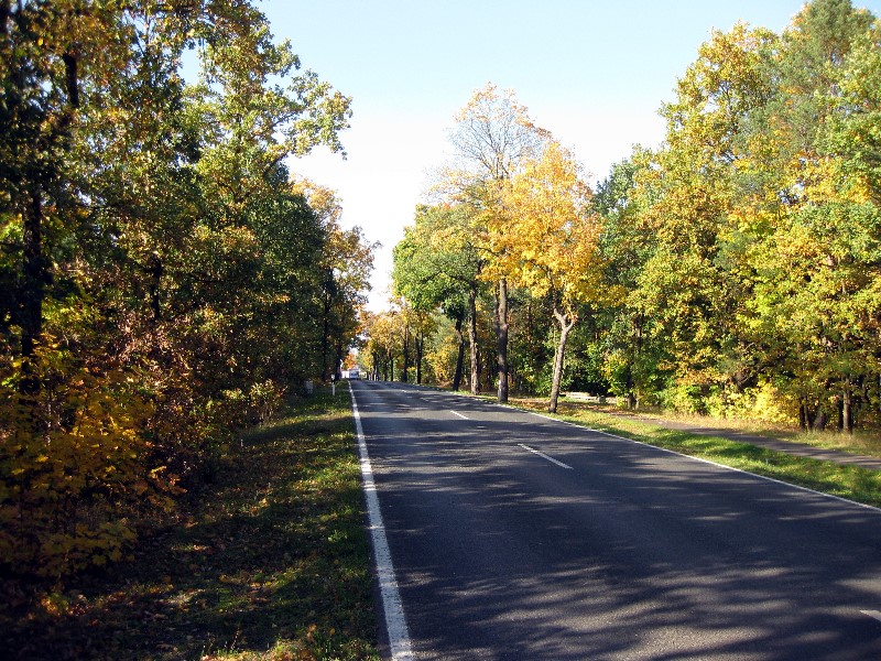 ../Images/Radtour111008 002.jpg